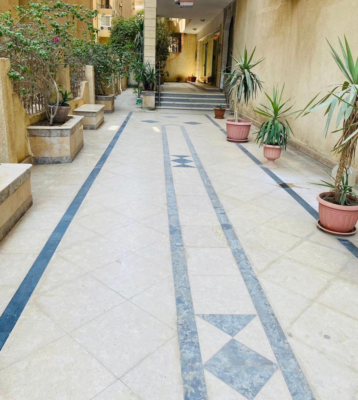 Apartment An Amazing For Rent To At Cairo